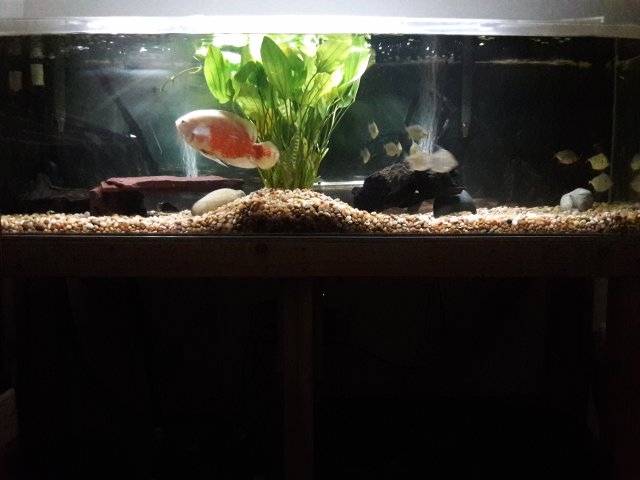 20180606_180312.jpg
