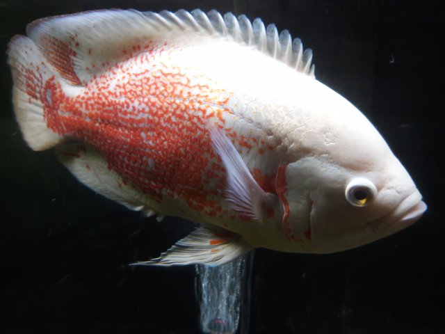 20180607_103557.jpg