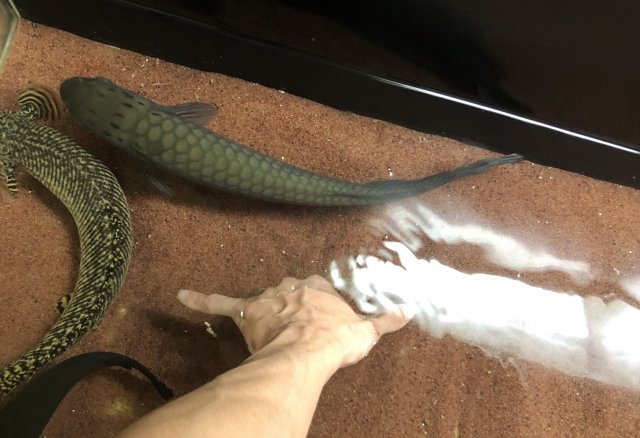 EA491440-DB06-48BB-AB50-260891F6AB73.jpeg EA491440-DB06-48BB-AB50-260891F6AB73.jpeg