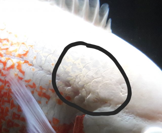 20180607_132644.jpg