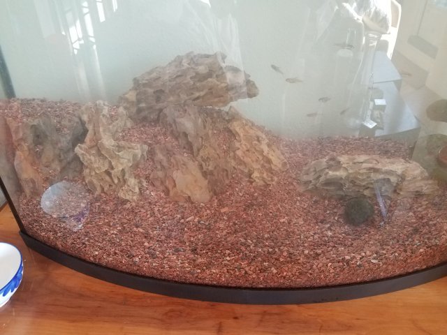 20180607_183454.jpg 20180607_183454.jpg