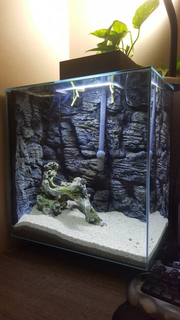 Fluval_edge1.jpg