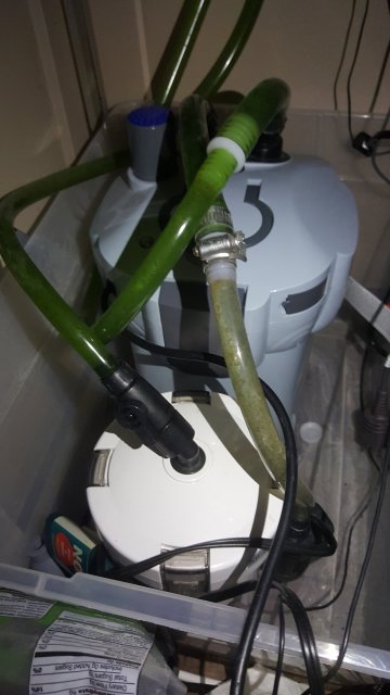 Fluval_edge3.jpg