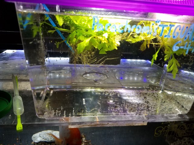 20180608_092027.jpg 20180608_092027.jpg