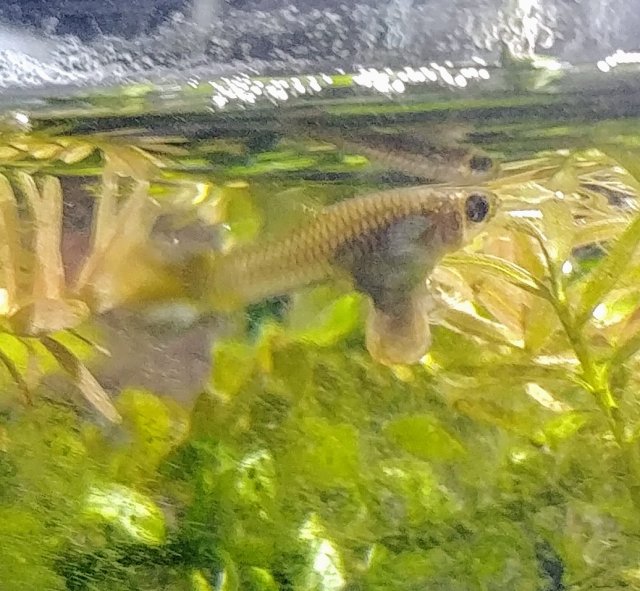 20180609_215943.jpg
