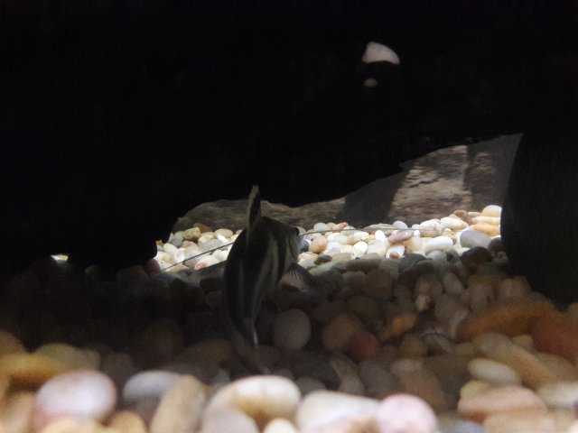 20180608_130430.jpg