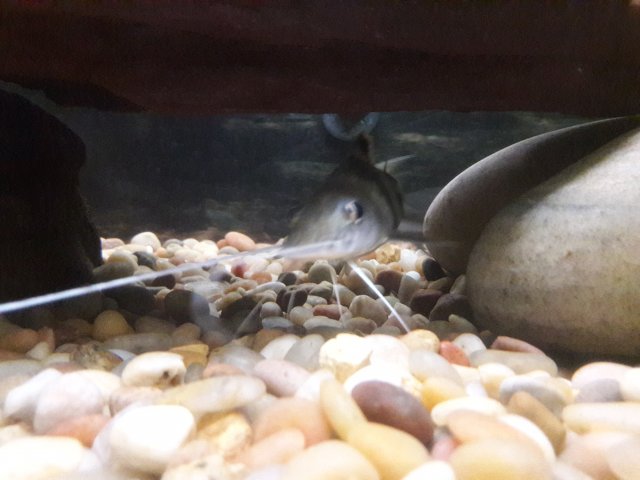 20180607_103612.jpg