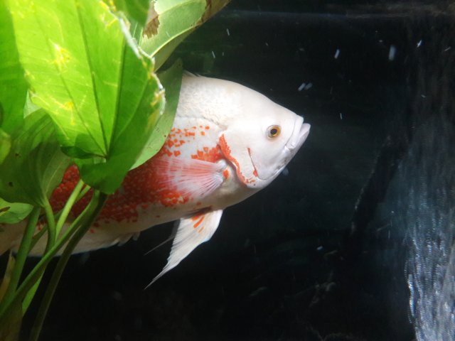 20180610_174902.jpg