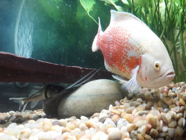 20180610_175600.jpg