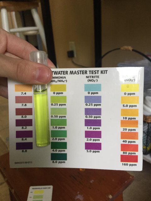 50877B00-C26B-4A4F-8639-B0482E646A30.jpeg