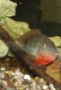 fred 080507.JPG