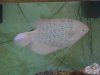 750 Gallon and Occupants 003.jpg 750 Gallon and Occupants 003.jpg