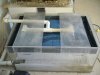 750 Gallon and Occupants 012.jpg 750 Gallon and Occupants 012.jpg