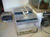 750 Gallon and Occupants 013.jpg 750 Gallon and Occupants 013.jpg