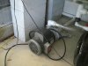 750 Gallon and Occupants 014.jpg 750 Gallon and Occupants 014.jpg