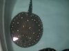 DSCN3480.JPG