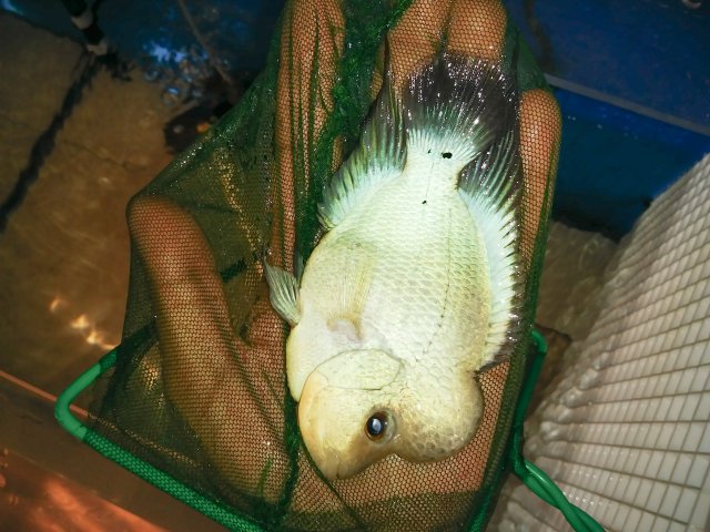 LRM_EXPORT_20180611_214637.jpg