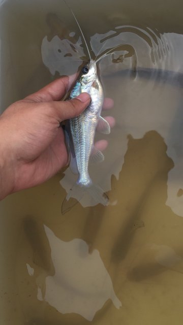 image.jpeg image.jpeg