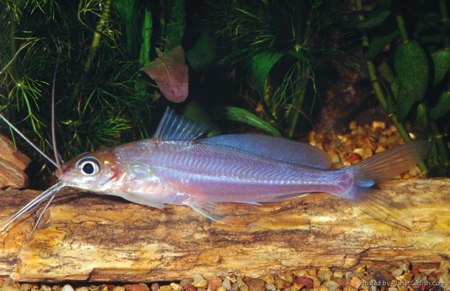 image.jpeg image.jpeg