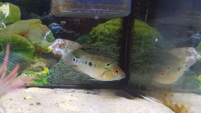 20180612_154039.jpg