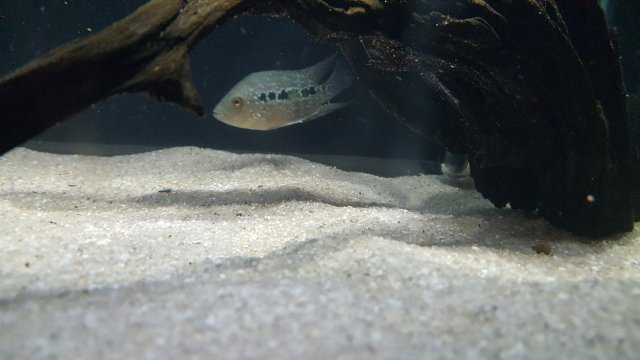 20180613_174228.jpg 20180613_174228.jpg