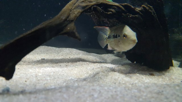 20180613_174144.jpg 20180613_174144.jpg