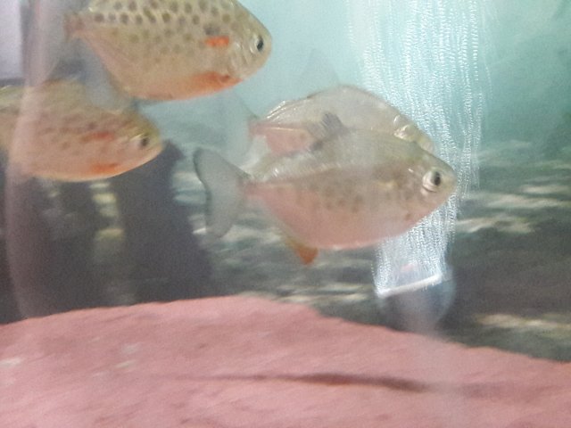 20180612_122028.jpg