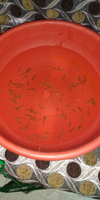 IMG_20180614_164807.jpg