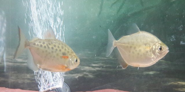 20180614_100406.jpg