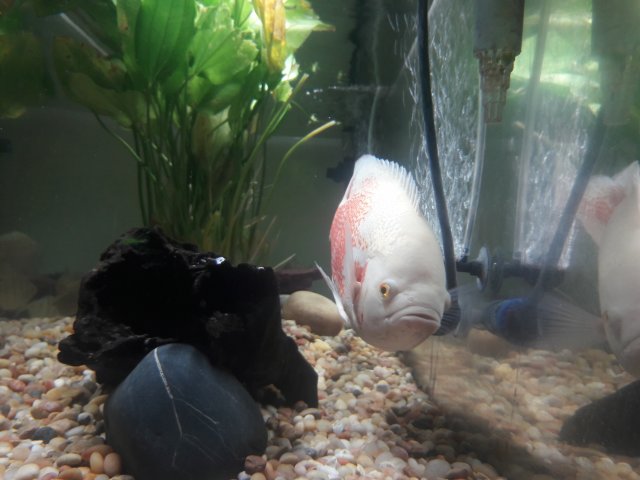 20180614_112021.jpg