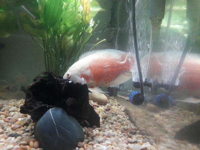 20180614_112039.jpg