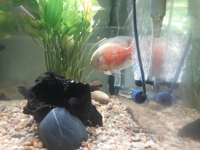 20180614_112054.jpg