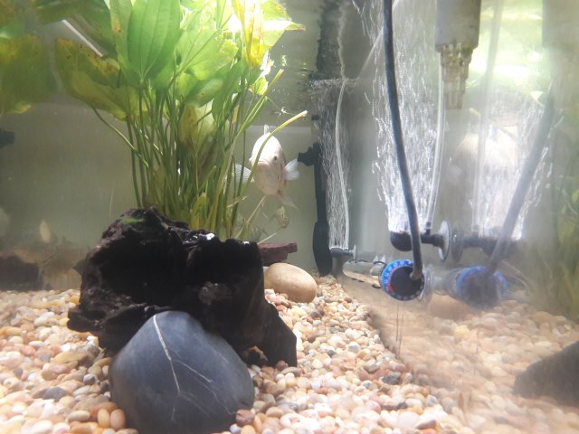 20180614_112119.jpg