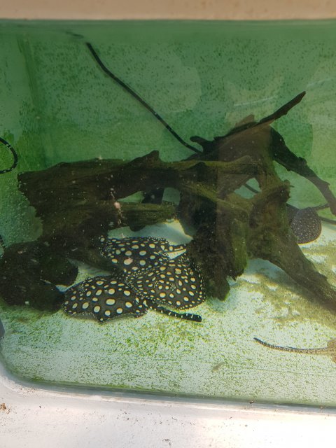 20180616_141008.jpg