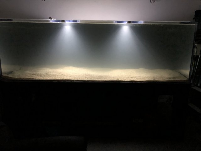 0275542B-C0B9-44EC-BC77-4F410327C24E.jpeg 0275542B-C0B9-44EC-BC77-4F410327C24E.jpeg