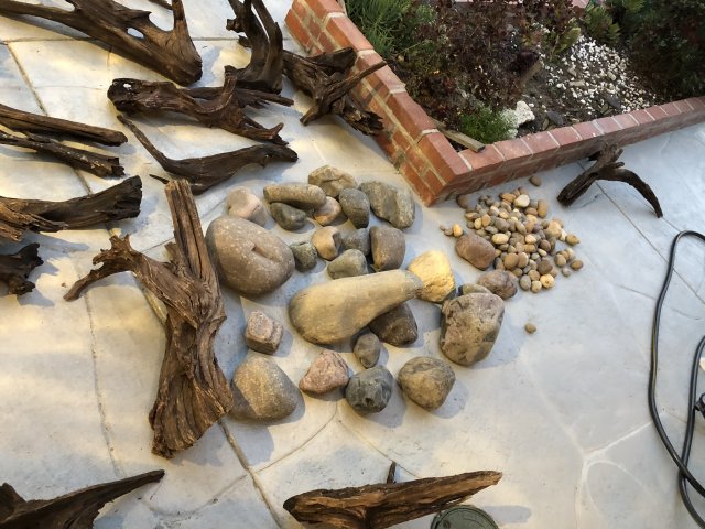 EEC47D5E-8B97-4C27-83AC-5914F96AB8EB.jpeg EEC47D5E-8B97-4C27-83AC-5914F96AB8EB.jpeg