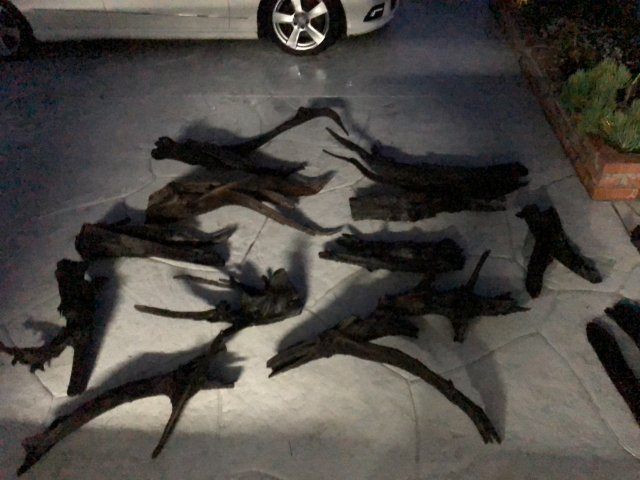 8525D6A2-D119-4EFF-B65A-22A5DB6840B8.jpeg 8525D6A2-D119-4EFF-B65A-22A5DB6840B8.jpeg