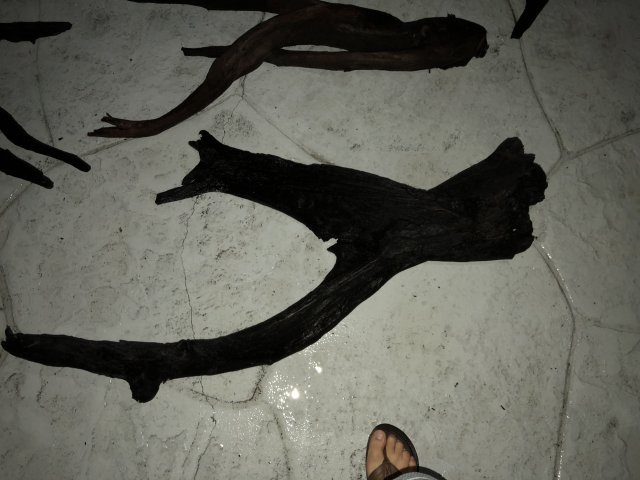 FF503C9E-B03E-4D90-B07E-9B0B05DA6BDE.jpeg FF503C9E-B03E-4D90-B07E-9B0B05DA6BDE.jpeg