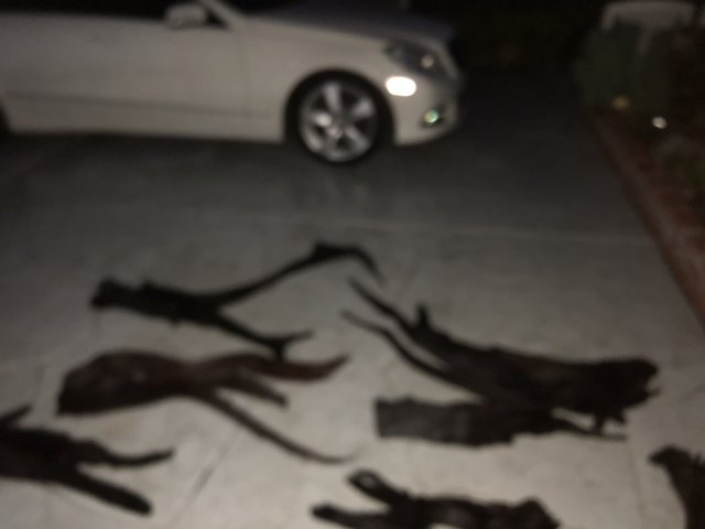 526BF57F-EC2D-4E71-84B6-81D69961D997.jpeg 526BF57F-EC2D-4E71-84B6-81D69961D997.jpeg