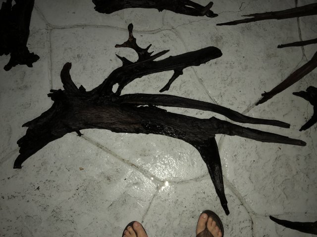 EC92CA1F-A606-4112-AE75-B7FDE4F0F3DF.jpeg EC92CA1F-A606-4112-AE75-B7FDE4F0F3DF.jpeg