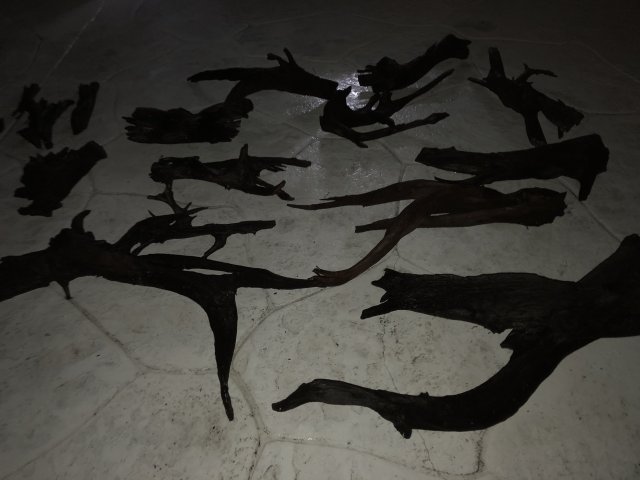 C5A7E933-FC81-44E2-9063-8CEF119A0A11.jpeg C5A7E933-FC81-44E2-9063-8CEF119A0A11.jpeg