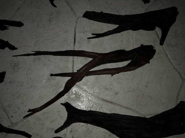 39667DE2-D0BE-4862-8984-1397D4F17B9F.jpeg 39667DE2-D0BE-4862-8984-1397D4F17B9F.jpeg