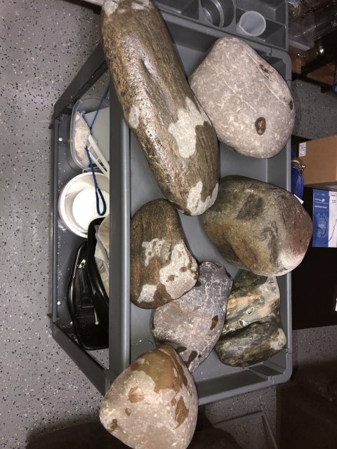 1A613376-3EB8-4DF7-95D5-99FE7B06F4F0.jpeg 1A613376-3EB8-4DF7-95D5-99FE7B06F4F0.jpeg