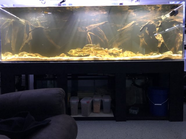 B393E890-D999-473A-B5D5-CF38431711B6.jpeg B393E890-D999-473A-B5D5-CF38431711B6.jpeg