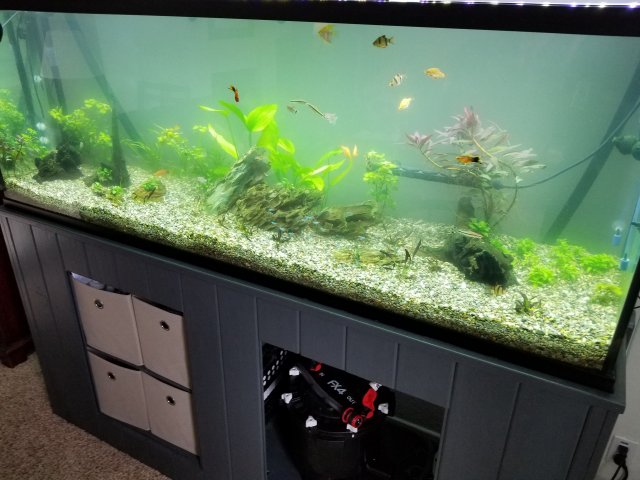 Tank and FX4 Filter.jpg Tank and FX4 Filter.jpg