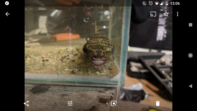 Screenshot_20180617-130620.png