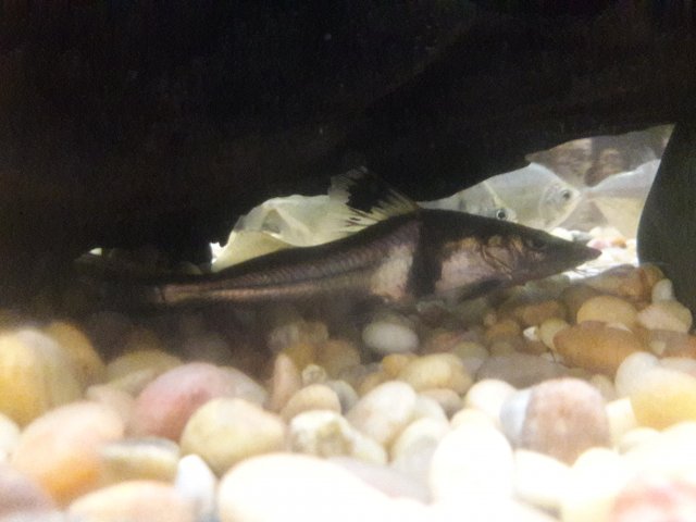 20180617_115158.jpg