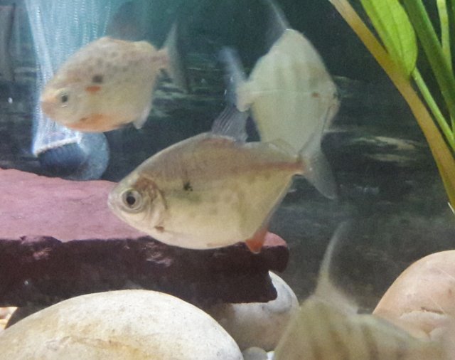 20180617_132029.jpg