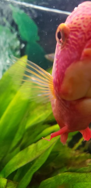20180618_190453.jpg 20180618_190453.jpg