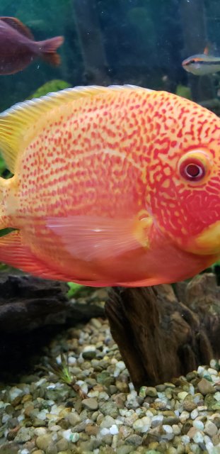 20180618_190422.jpg 20180618_190422.jpg